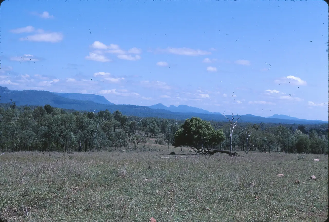 Great Dividing Range from access track to Carnarvon Gorge National Park Queensland 1982 IMG